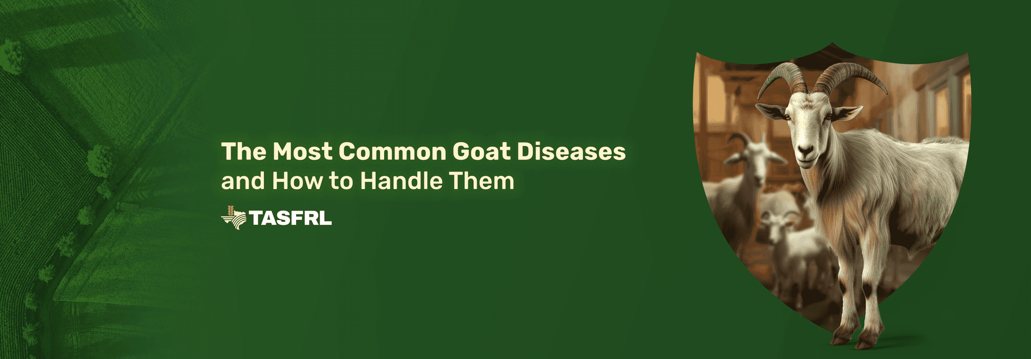 The Most Common Goat Diseases (and How to Handle Them)